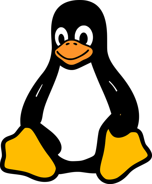 Linux