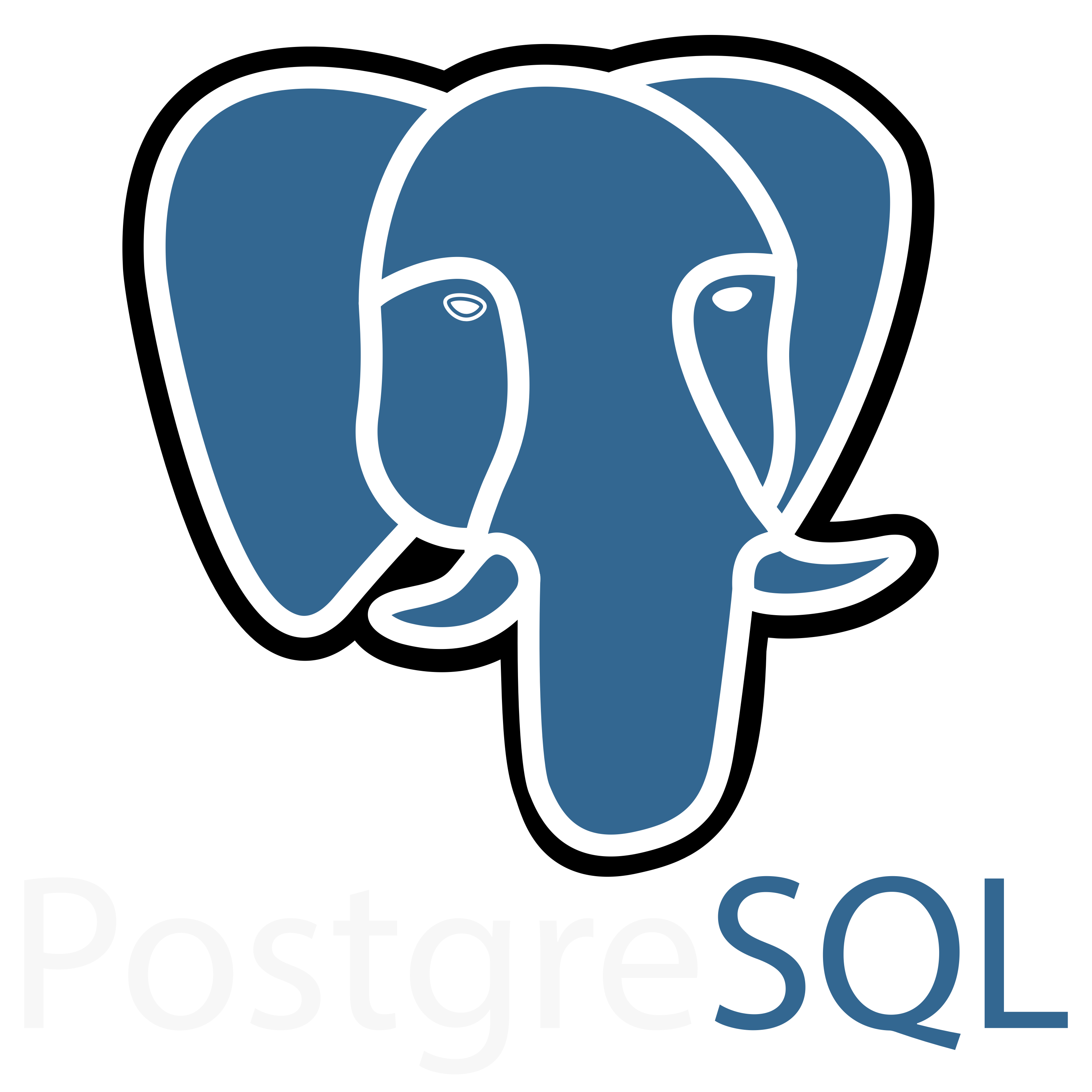 PostgreSQL